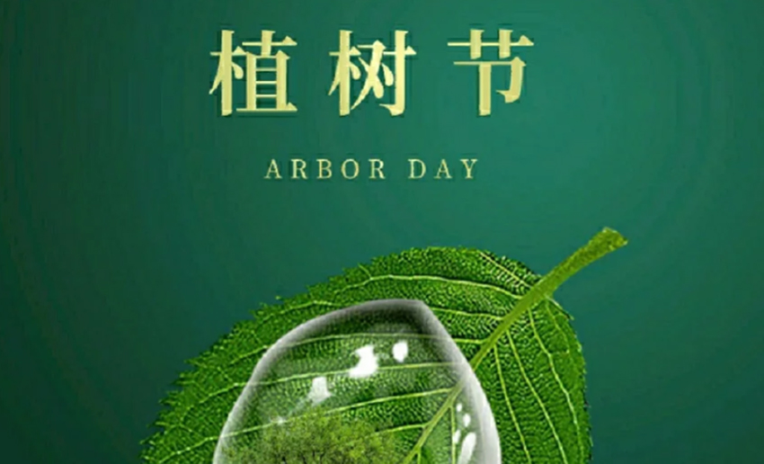 福天輥筒丨植樹節(jié)，播種希望，承載夢想